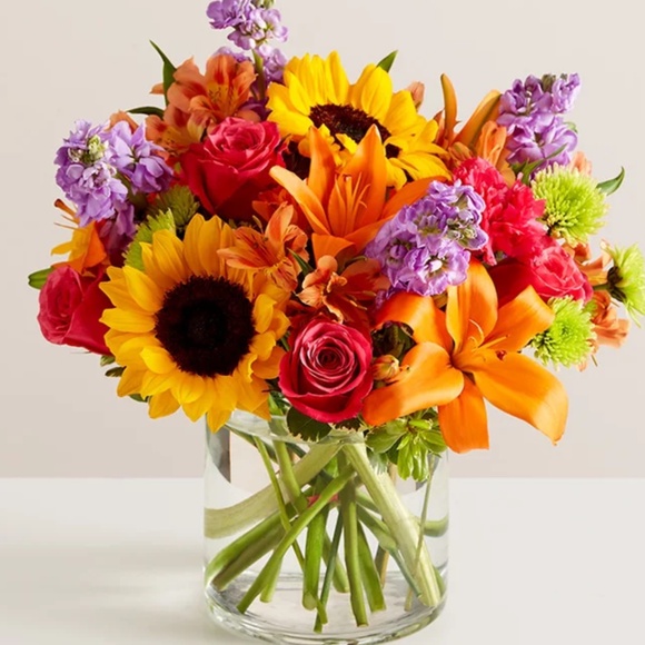 bundle - Picture 1 of 1